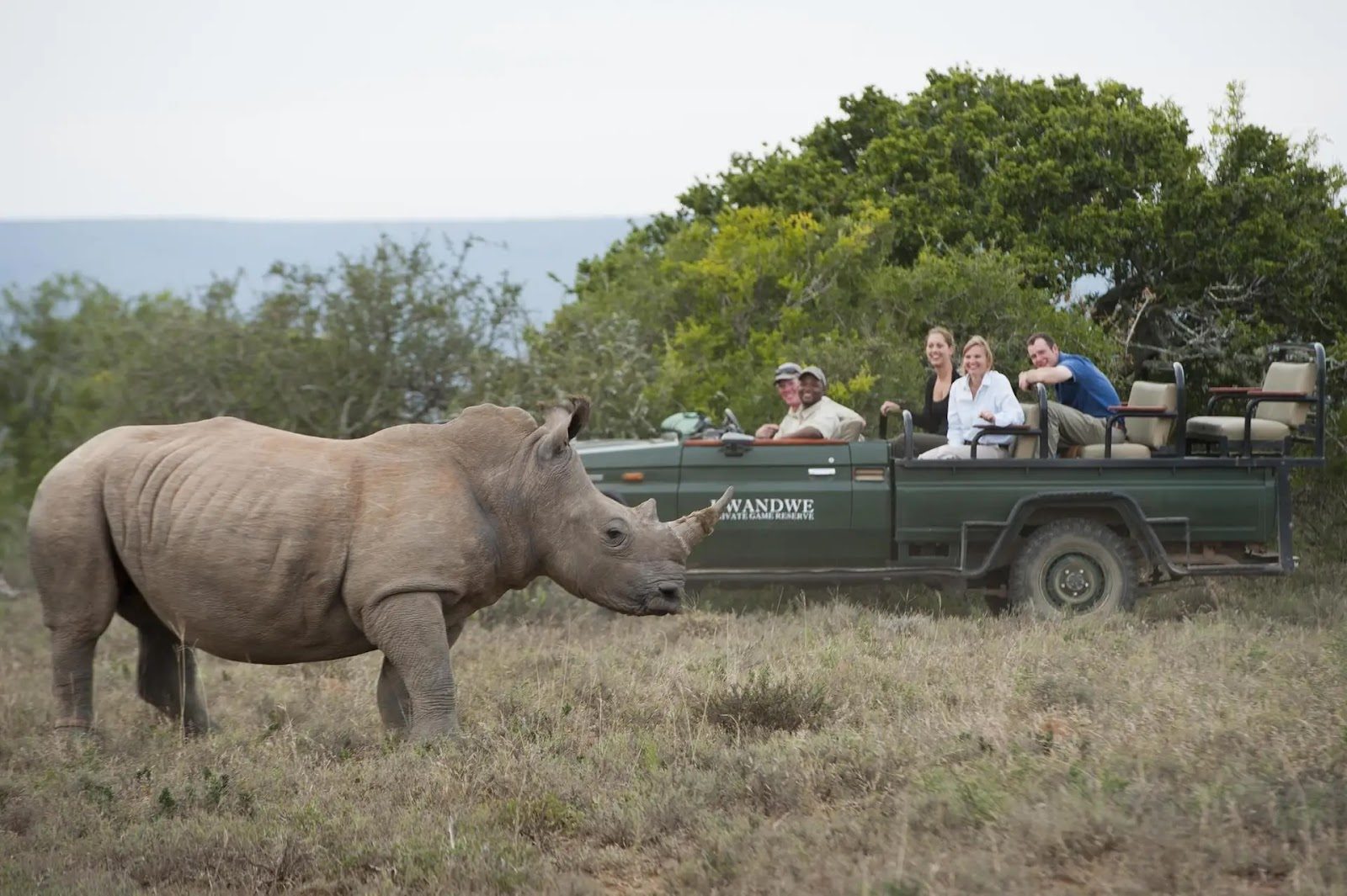 Rhino spotting in Kwandwe Private Game Reserve, South Africa.