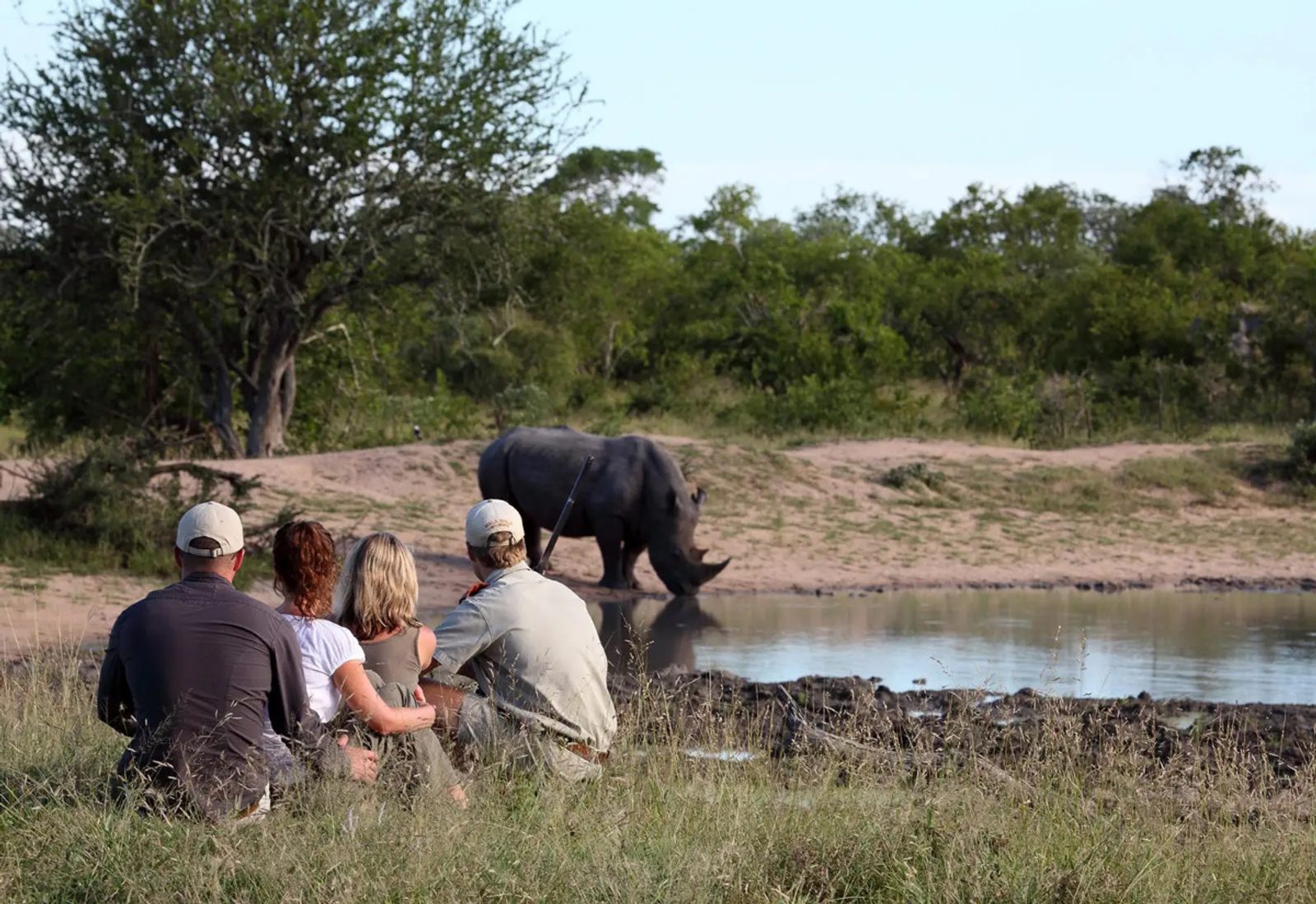 A bush walk brings you up close and personal with Africa’s wildlife.