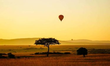 MAASAI MARA