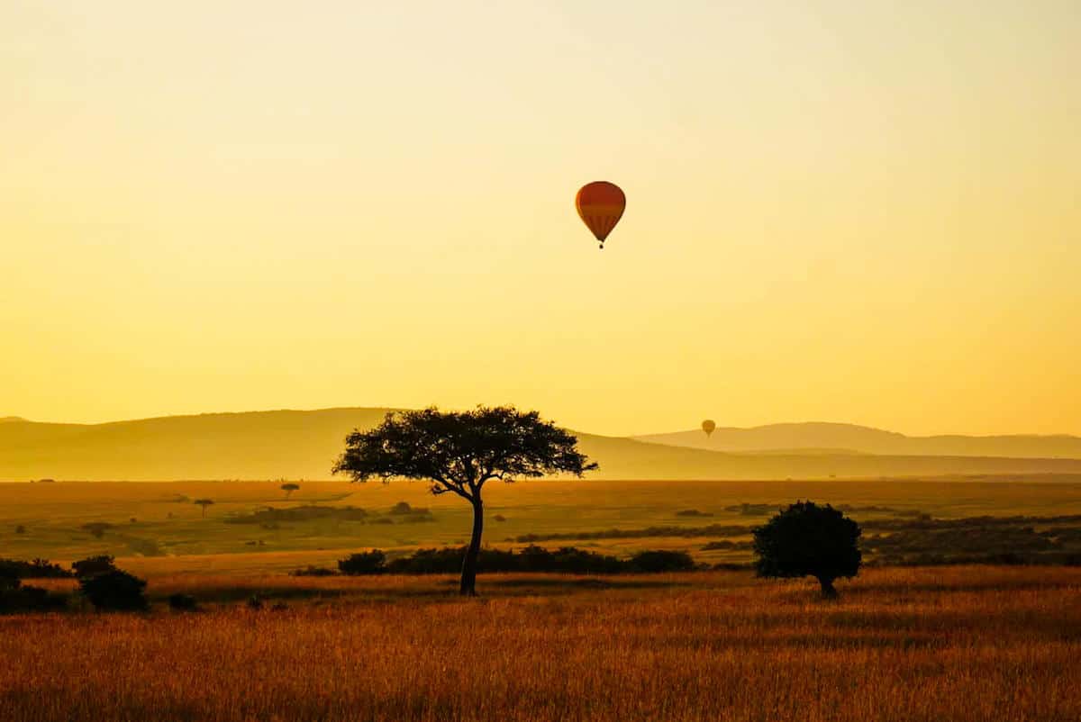 MAASAI MARA