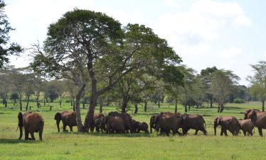 TAITA HILLS