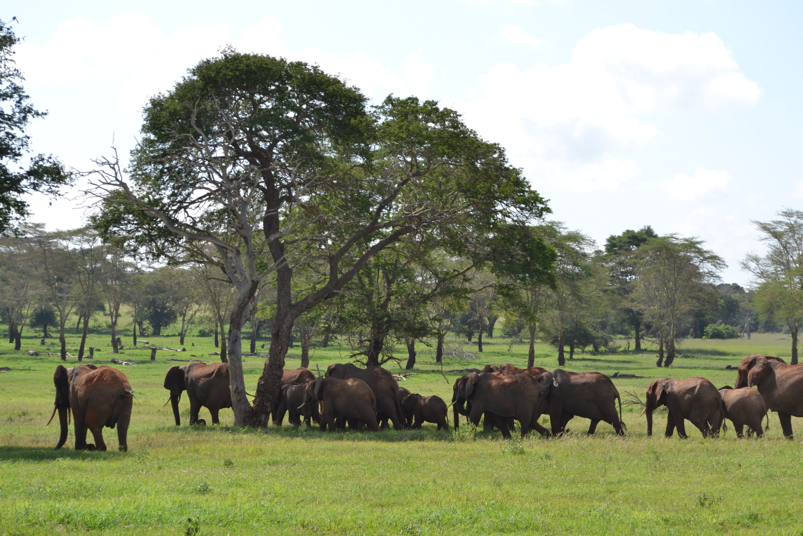 TAITA HILLS