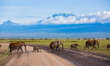 AMBOSELI