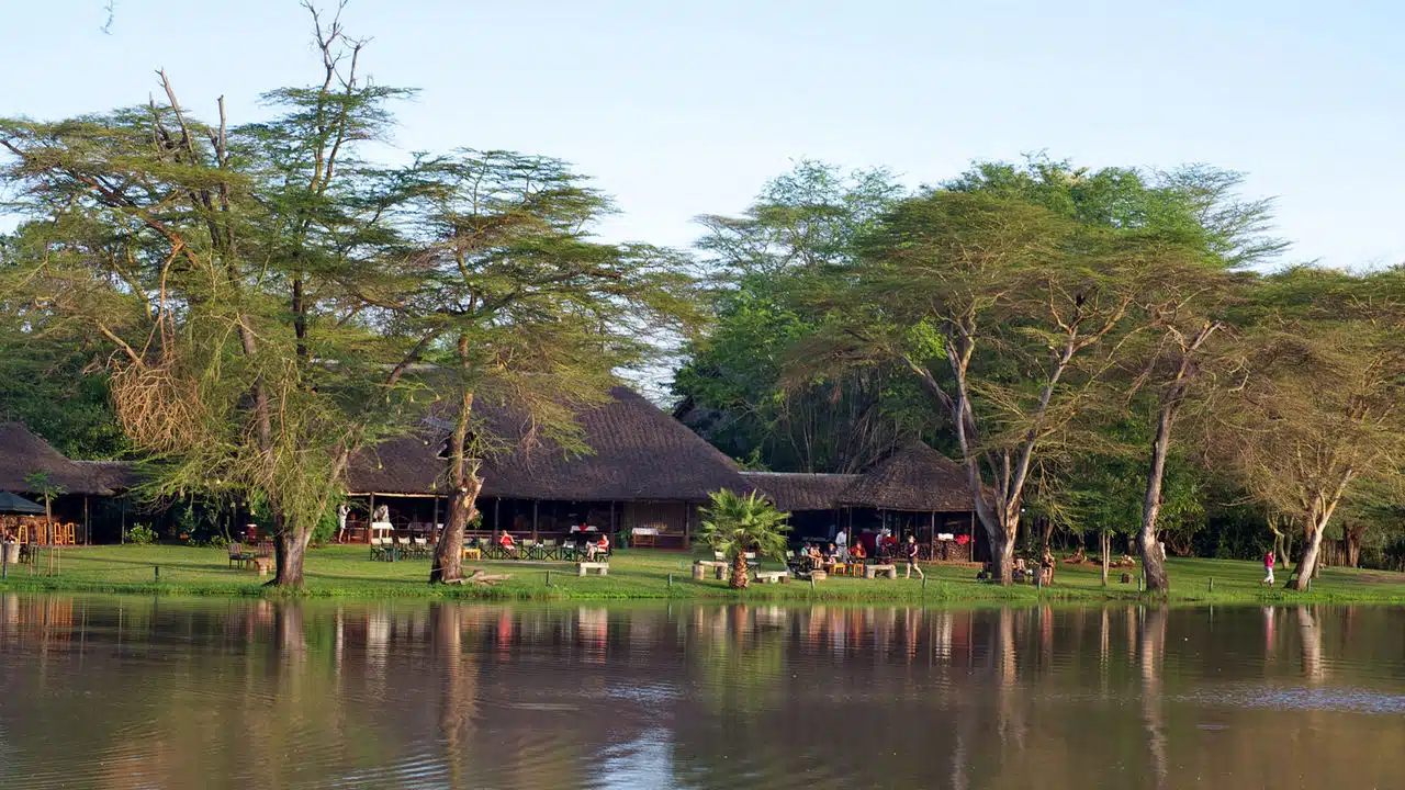 ZIWANI