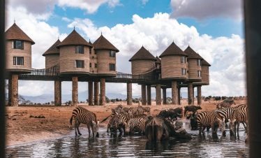 SALTLICK IN TAITA HILLS