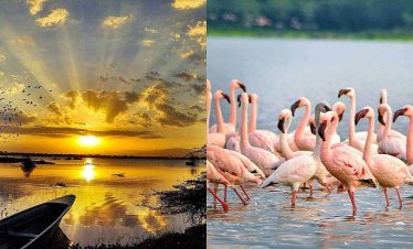 LAKE NAIVASHA