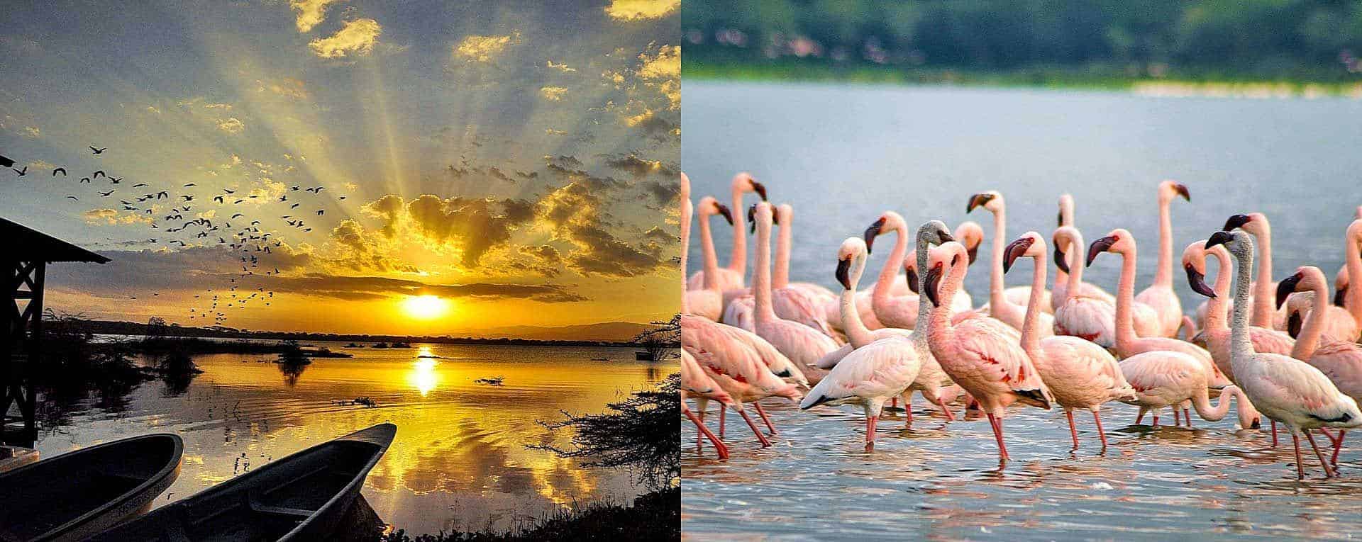 LAKE NAIVASHA