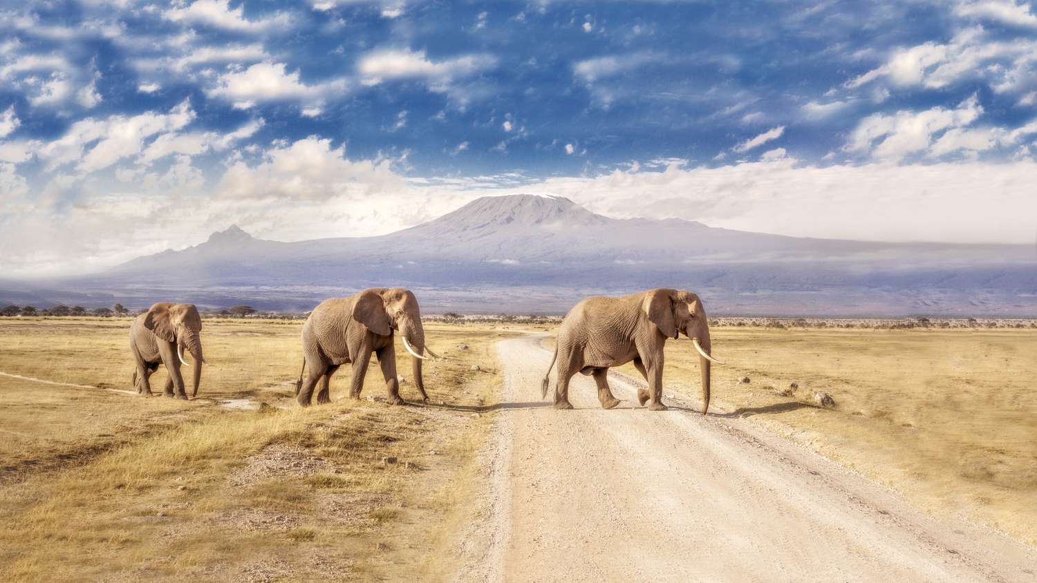 AMBOSELI